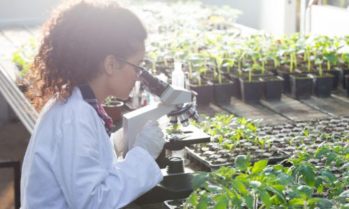 Bioecopest diventa Centro di Saggio autorizzato dal Ministero delle Politiche Agricole, Alimentari e Forestali e del Turismo